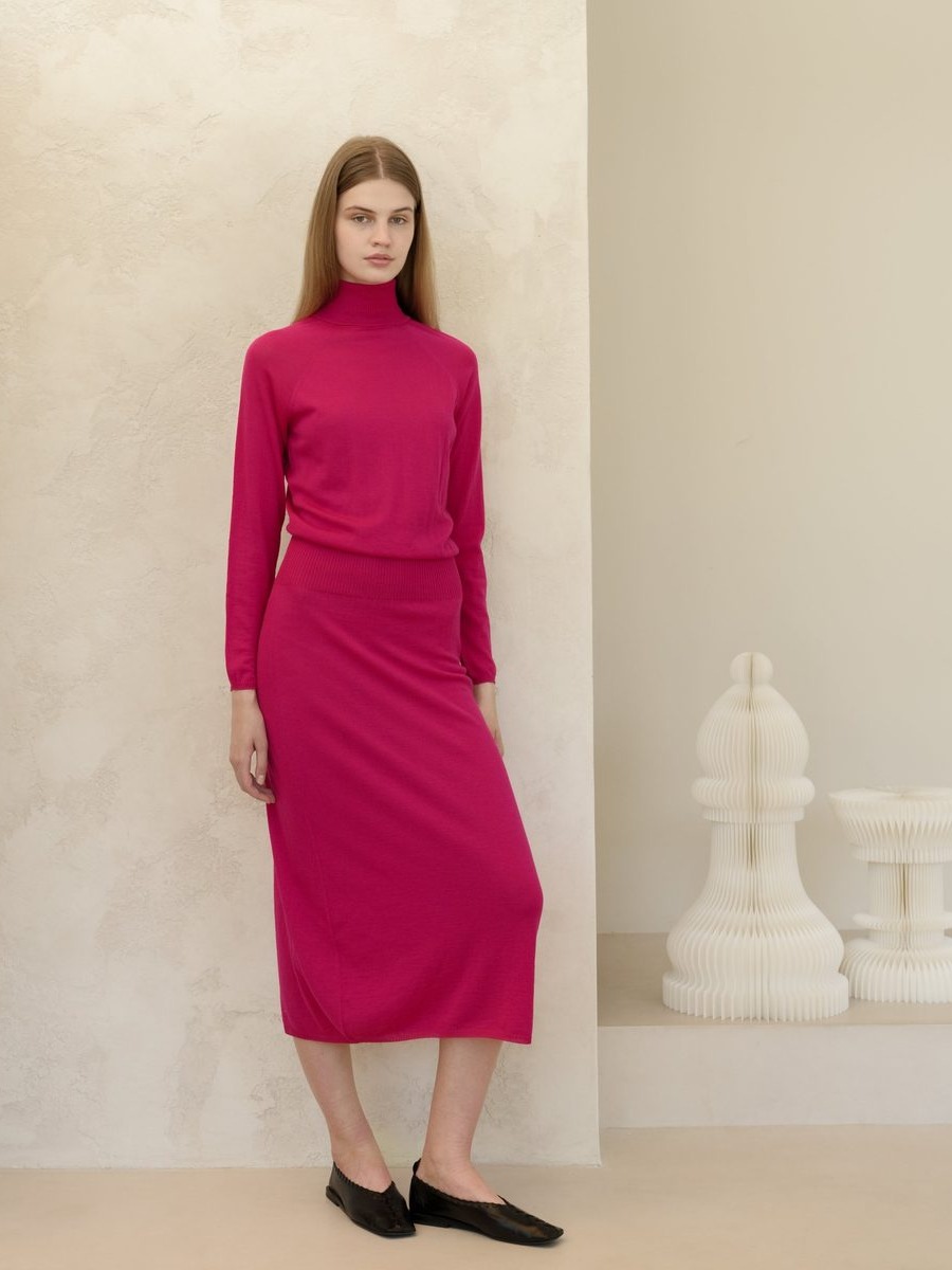 Extra Fine Merino Turtleneck Dress